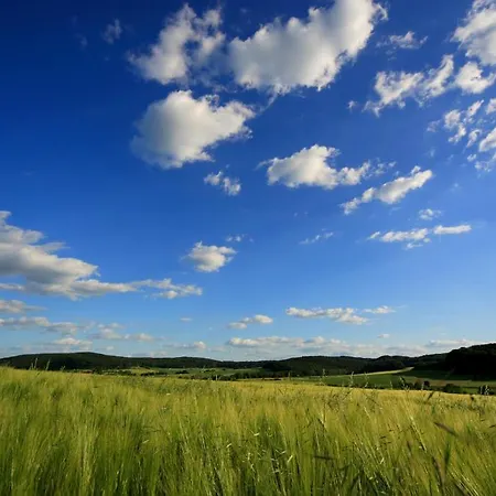 Heckenmuhle فندق