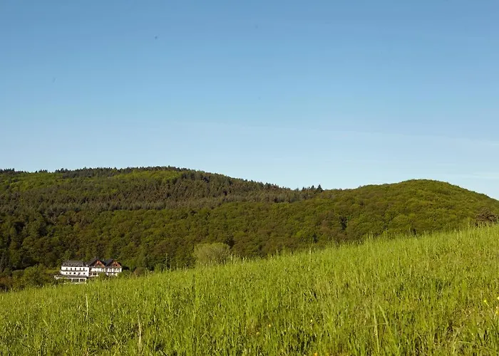 Otel Heckenmuhle Bad Endbach